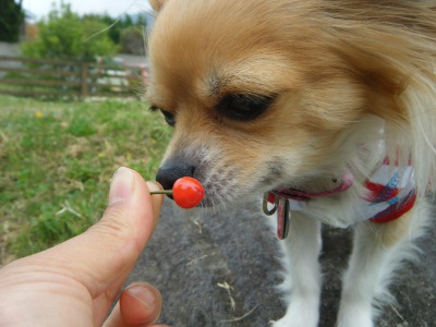7_20120609114733.jpg
