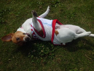 7_20120623121534.jpg