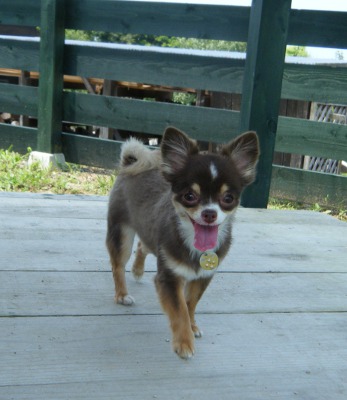 7_20120905065011.jpg
