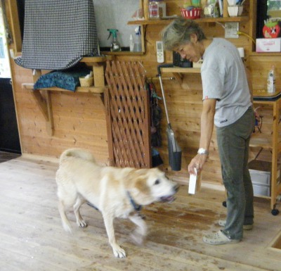 7_20120905072355.jpg