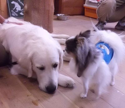7_20120915122450.jpg