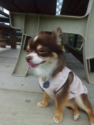 7_20121006143654.jpg