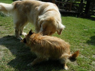 8_20120614114022.jpg