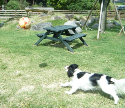 9_20121004012423.jpg