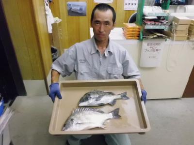 20120802fujisawa.jpg