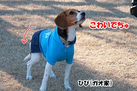 アタイがいるよ1