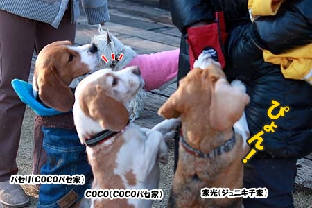 出る杭は打たれる2
