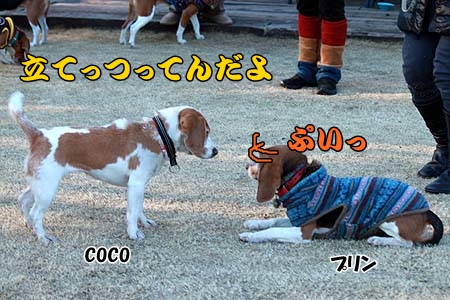 独り相撲2