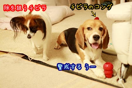 3_20120814210135.jpg