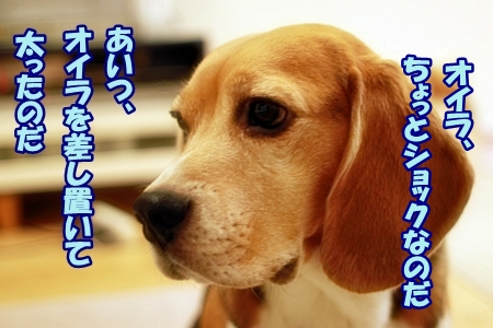3_20121101214137.jpg