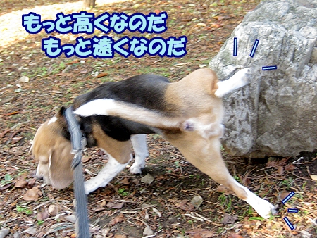 3_20121124185741.jpg