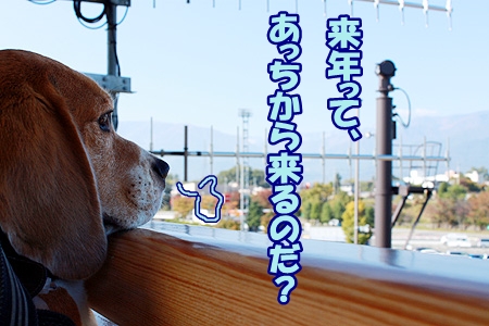 3_20121213231916.jpg