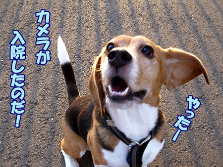 4_20120423234621.jpg