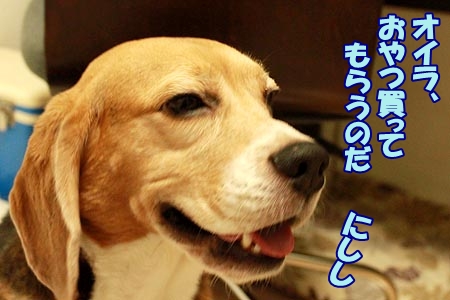 4_20121011213222.jpg