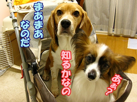 5_20120430001248.jpg
