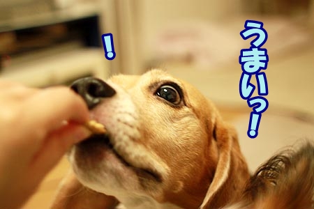 7_20120905200935.jpg