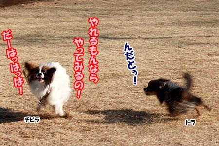 8_20130112225635.jpg