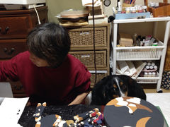 6263497_2115271269_133small.jpg