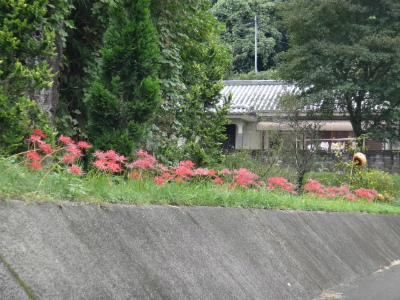 001_20120930220408.jpg