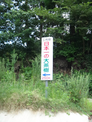 003_20120816224833.jpg