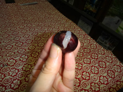005_20120724230242.jpg