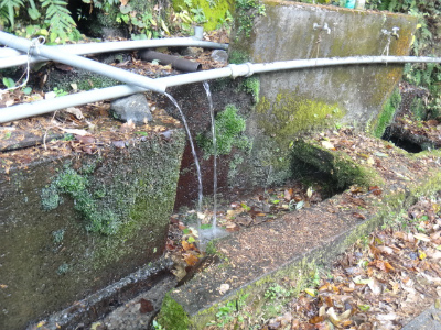 005_20121205202003.jpg