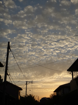 006_20120918223648.jpg