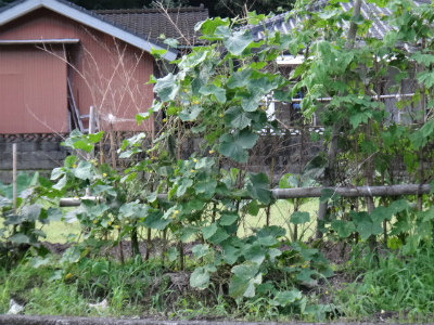 007_20120628235821.jpg