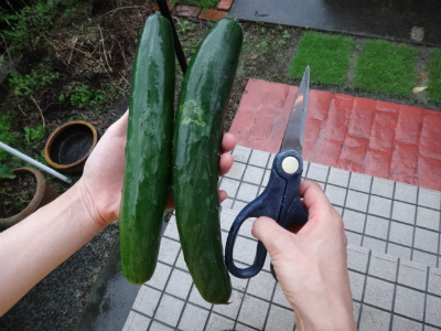 008_20120703221429.jpg