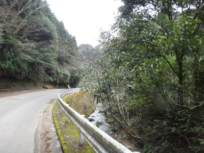013_20130101215056.jpg