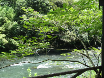 022_20120804231705.jpg