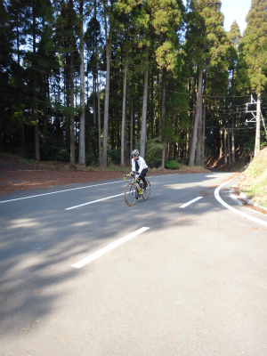 035_20130104215451.jpg