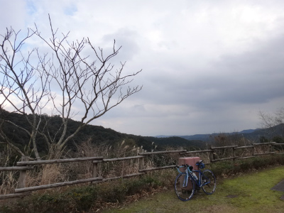 042_20130101215115.jpg