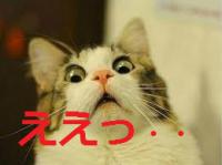images (1)