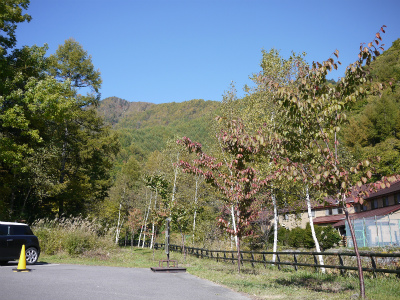 P1220247.jpg