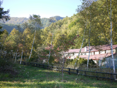 P1220338.jpg