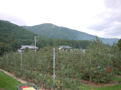 P1220432.jpg