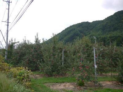 P1220433.jpg
