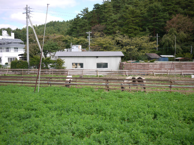 P1220439.jpg