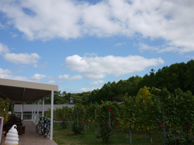 P1220445.jpg