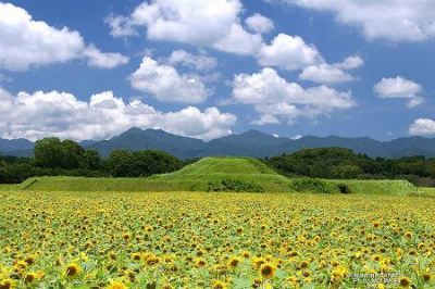 img119_1007saito_h06_450.jpg