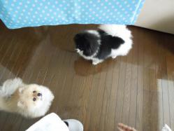興味ありと興味なし