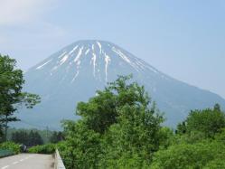 6月二週目の羊蹄山