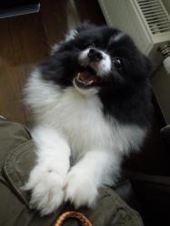 喝~!