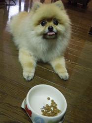 ご飯いりません