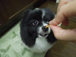 お、美味しそうですね