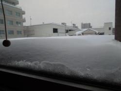 屋根の上の雪・・・
