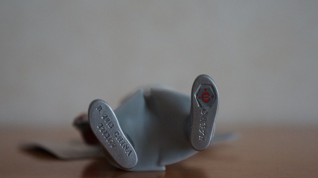 s_DSC00711.jpg