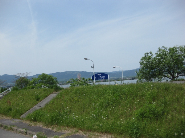 IMG_0667 (600x450)