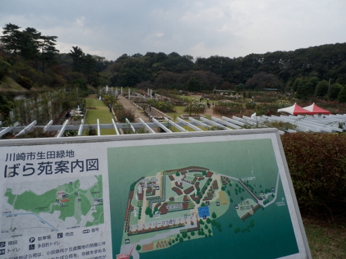 PA270016 (500x375)